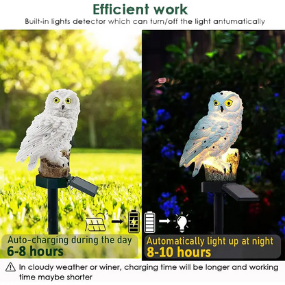 Ensemble Lampe d'Extérieur Solaire, LED