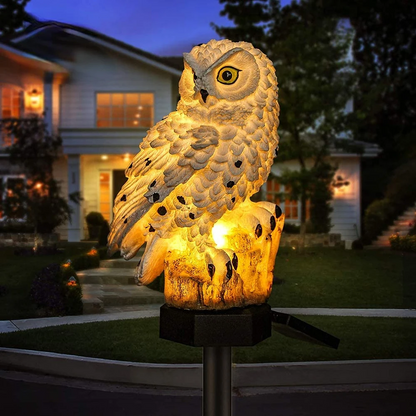 Ensemble Lampe d'Extérieur Solaire, LED