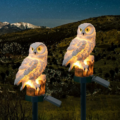 Ensemble Lampe d'Extérieur Solaire, LED