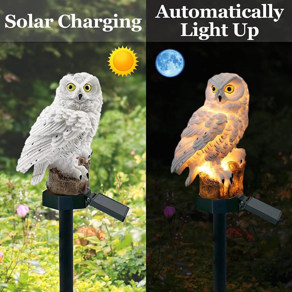 Ensemble Lampe d'Extérieur Solaire, LED