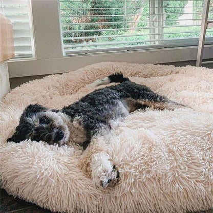 Panier pour Chien