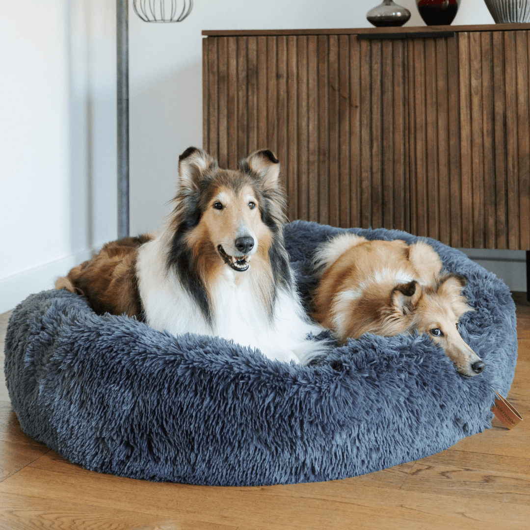 Panier pour Chien