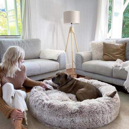 Panier pour Chien