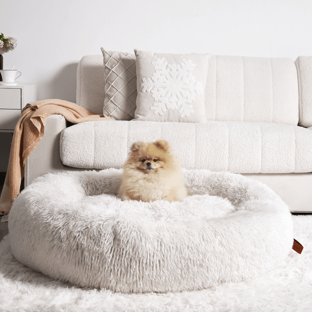 Panier pour Chien