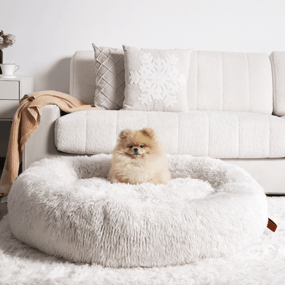 Panier pour Chien