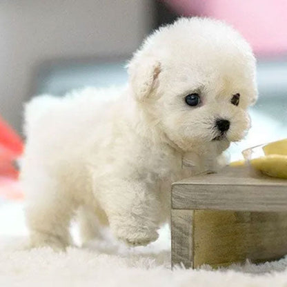 Chien Robot Interactif Réaliste