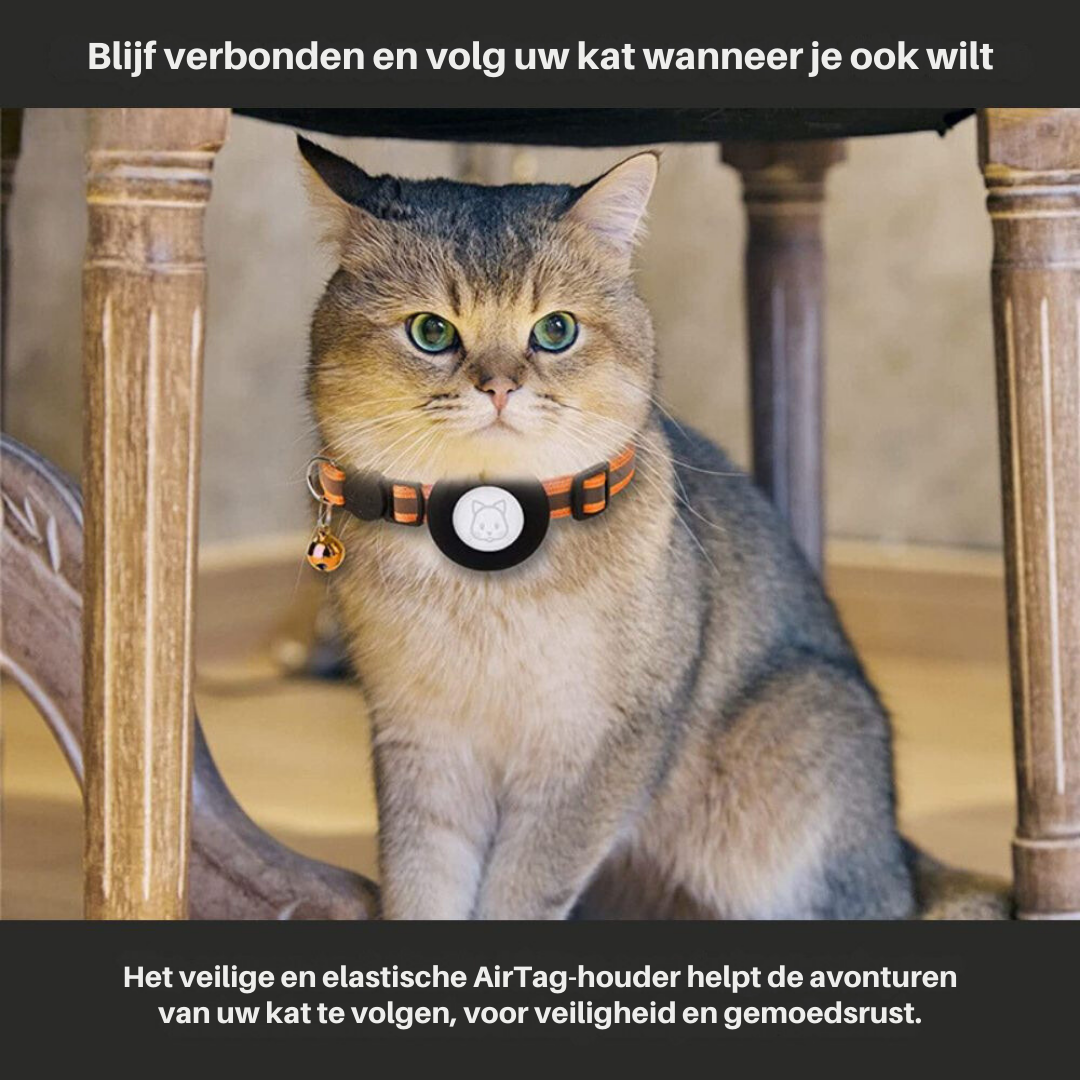 Collier Traceur GPS pour Chat, réfléchissant