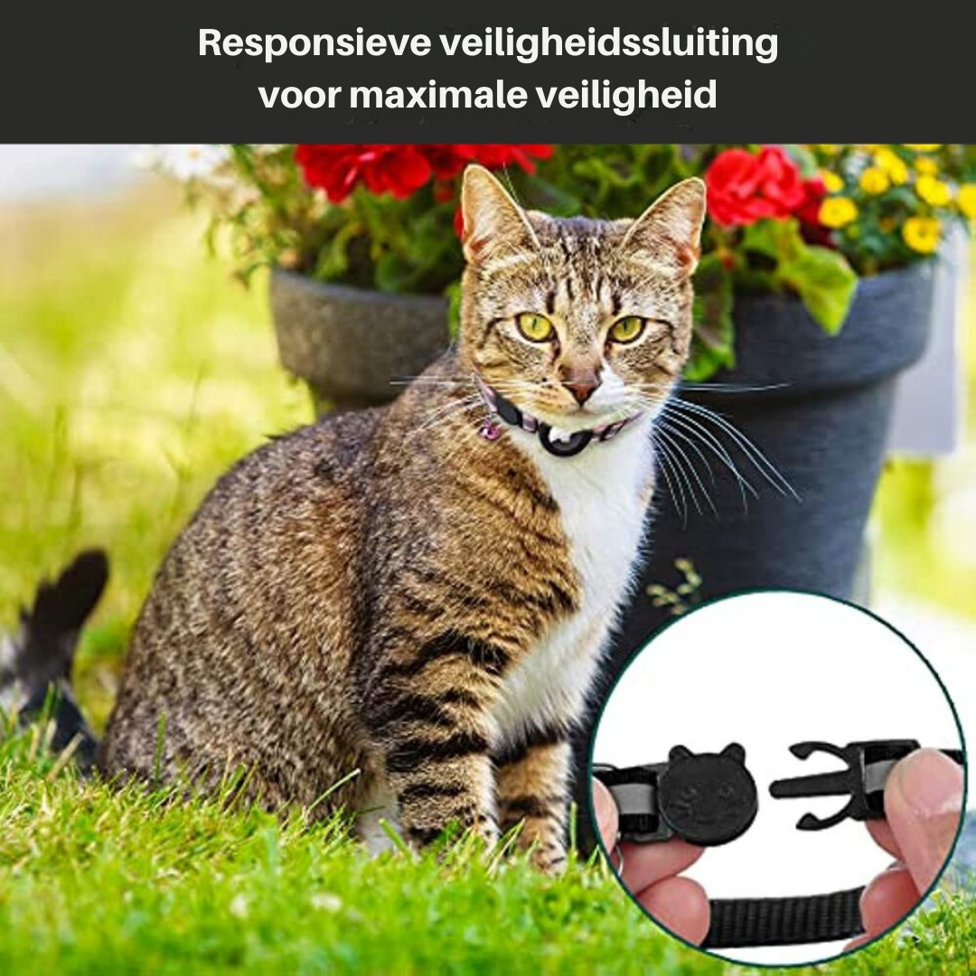 Collier Traceur GPS pour Chat, réfléchissant