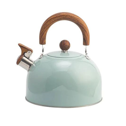 Stainless Steel Whistling Kettle with Insulated Handle – coloris Light green 3L