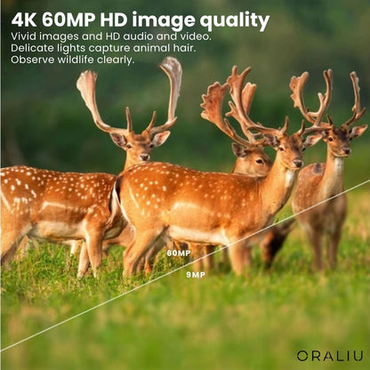 Caméra Animalière 4K Ultra HD 60MP